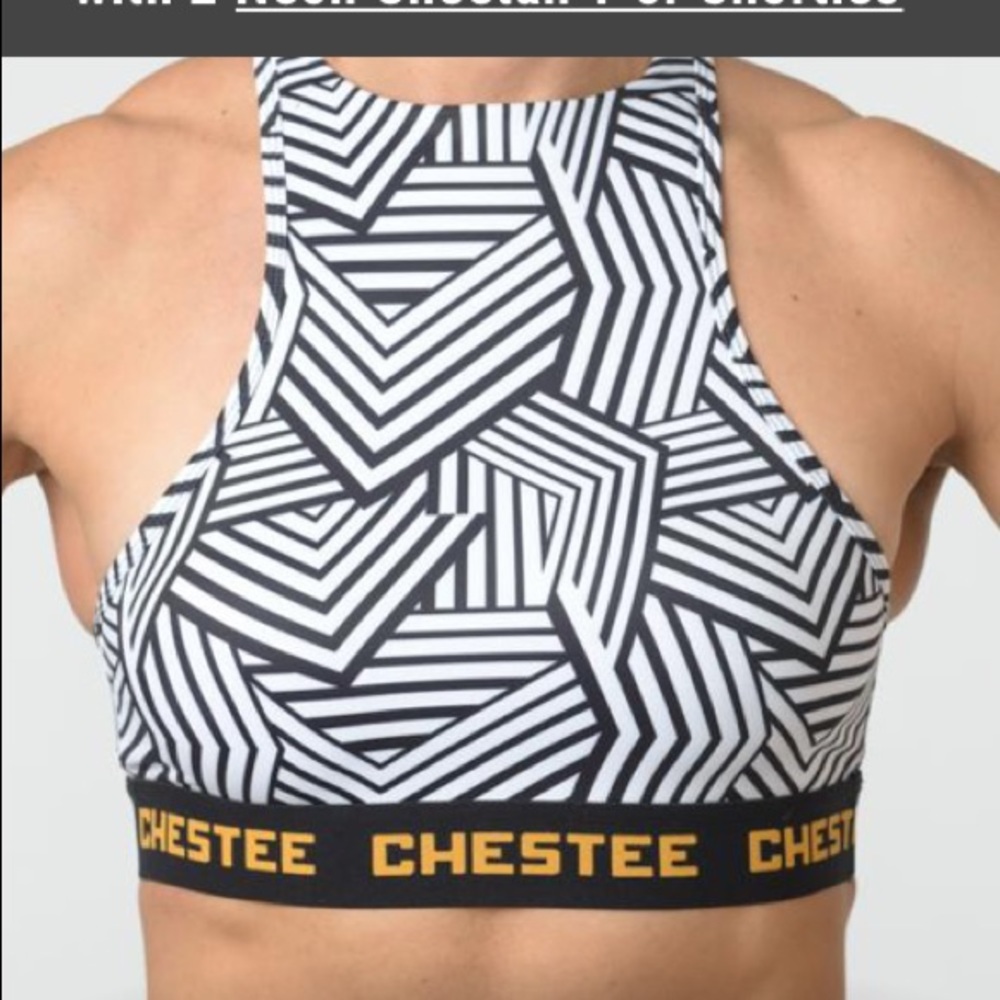 The Chestee Sports Bra size 10